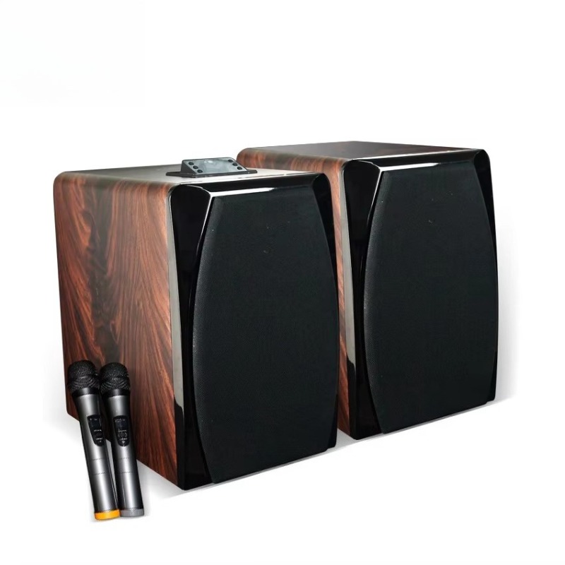 High Performance Active Karaok - Audio Music Dj review and price